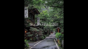 سورة المؤمنون ( 84 - 89 ) ياسر الدوسري | الوصف مهم