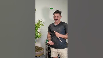 Part 1️⃣: Trident Maple Transformation 🍁