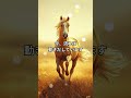 前に進みたい方へ🐎｜流れが動き出す瞬間 #開運 #馬 #午#前進 #運気アップ#ショート動画 #スピリチュアル