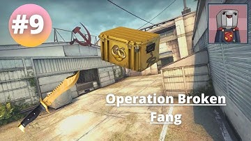 CS:GO [] Opening A Case Every Day Until I Get A Knife [#9]