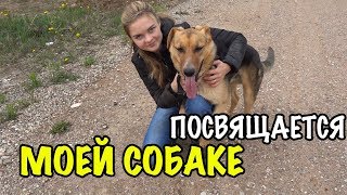 МОЙ СОБАК! ❤️ Мы взяли из приюта меленького щенка и что из этого вышло