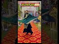 #shortvideo #funny #comedy #comedy #viralvideo #duet #memes