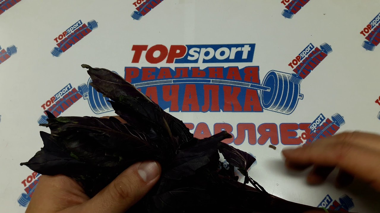 ПОТЕНЦИЯ НА 8 МАРТА БУДЕТ МЕГА - БАЗИЛИК Как Повысить Потенцию В ...