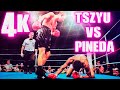 Kostya Tszyu vs Hugo Pineda (Highlights) 4K