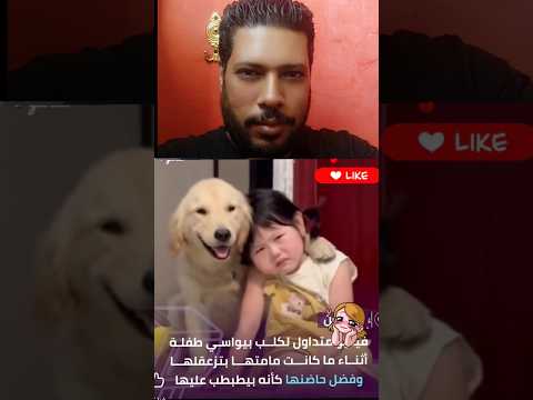 لما الكلب يطلع أحن من البني آدم