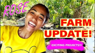 ROSE | FARM UPDATE (Exciting new projects!!)