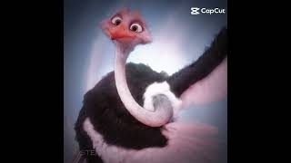 #edit #goatmovie #goat2026 #khumba Olivia Burke 🪶 and Bradley ostrich 🪶 lovers rock #loversrock