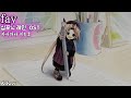 fay / 笠原弘子(카사하라 히로코) シンフォニック=レイン OST 심포닉 레인 OST 한글자막 [歌詞付き]