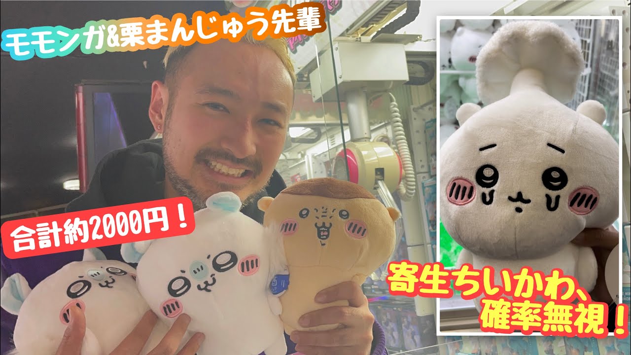 UFOキャッチャー】ちいかわボイス付きぬいぐるみ〜モモンガ 