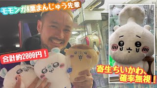 【UFOキャッチャー】ちいかわボイス付きぬいぐるみ〜モモンガ&栗まんじゅう、実力機で取ってみた！