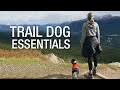 Trail Dog Essentials For Mountain Biking & Hiking