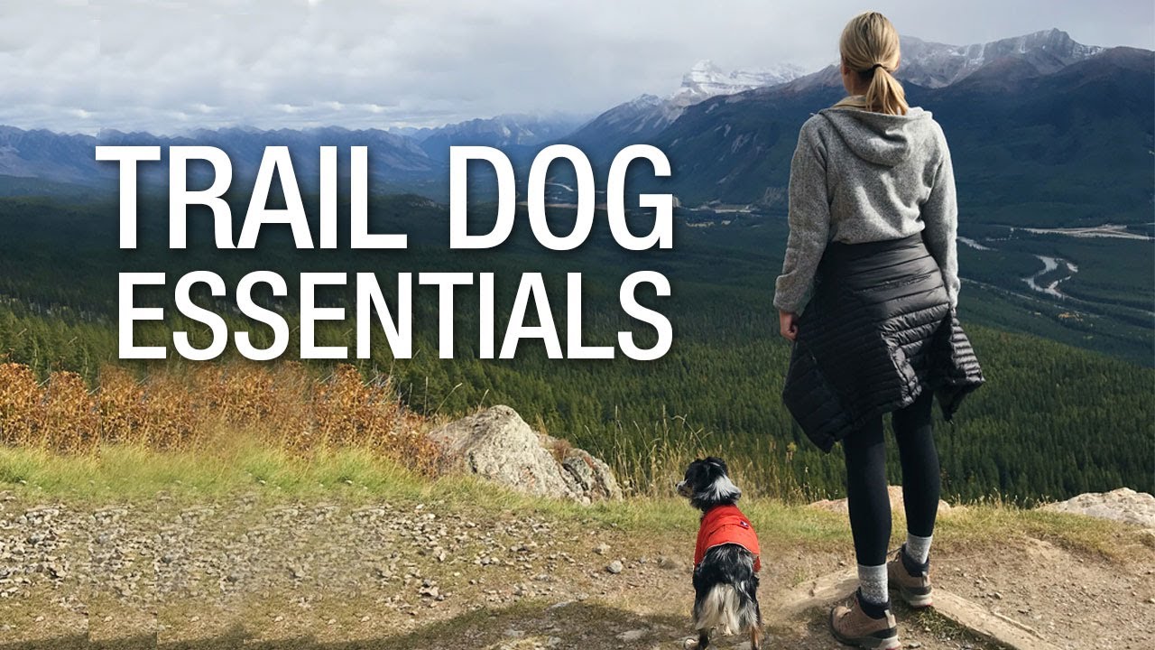 Trail Dog Essentials For Mountain Biking & Hiking YouTube
