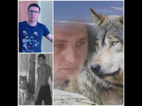 СТРИМ ПО ЮФС4, ВОЛКИ НА СТРИМЕ, ИГРА С ПОДПИСЧИКАМИ, РАНДОМЫ