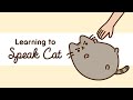 Pusheen apprendre  parler chat