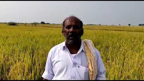 Agromate Customer -wanaparthy- Agromate   - 180030009696