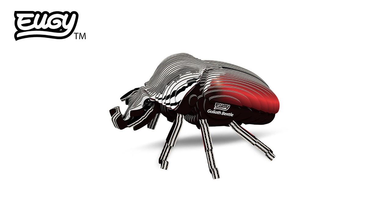 111 Goliath Beetle – EUGY