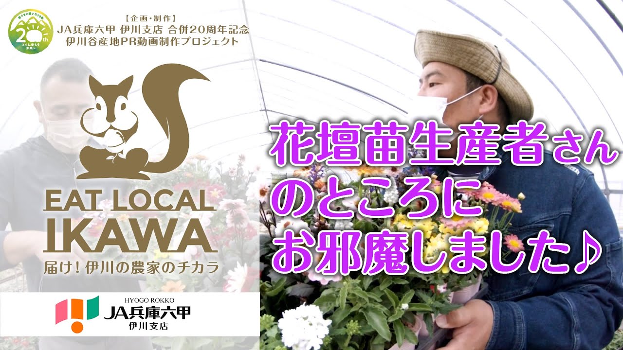 花壇苗農家さんに訪問してみた 神戸市西区伊川谷 Youtube