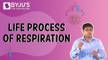 Life Process of Respiration