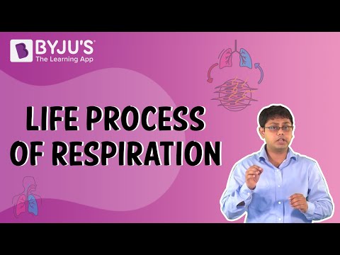 Life Process of Respiration