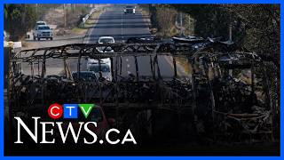 Download Lagu 'There's something serious going on here': Canadian in Puerto Vallarta on seeing a bus on fire MP3