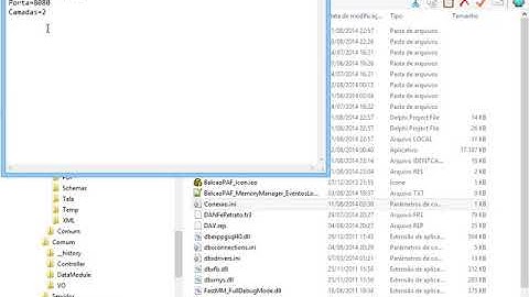 T2Ti ERP 2 0   Delphi   Sped Fiscal   09 Testes