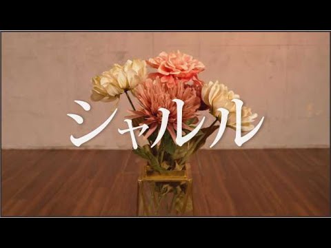 【DISPARATE】シャルル 踊ってみた【オリジナル振り付け】