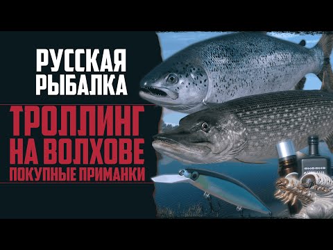 Видео: РАЗ В ГОД И ВОЛХОВ РАЗДАЁТ | Щука + Лосось 🔴 Русская Рыбалка 4