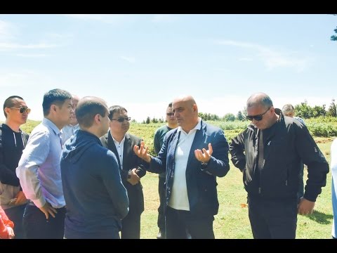 გუბერნატორი ჩინელ ინვესტორებს შეხვდა