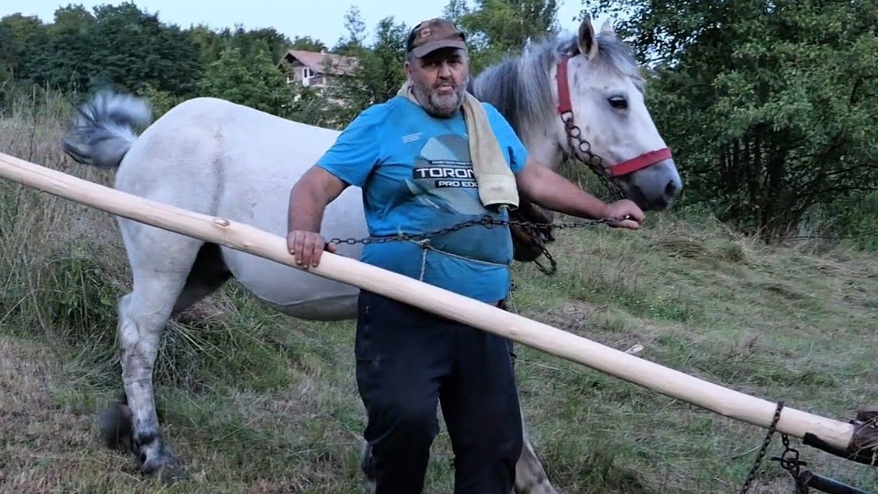 Puce ruda Ibrahim i kola na jednu a konj na drugu stranu