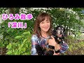 【岩崎宏美】/ひろみ散歩「深川」