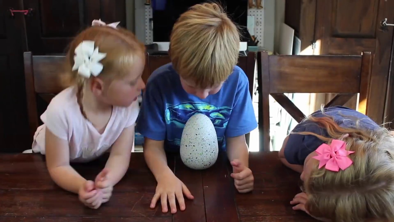 Toy Hatchimals Hatching American Girl Ideas YouTube Toy Hatchimals Hatching American Girl Ideas YouTube