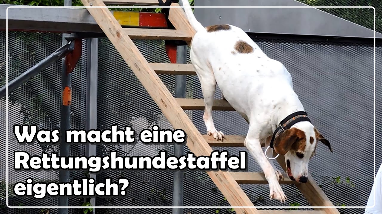 Rettungshundestaffel