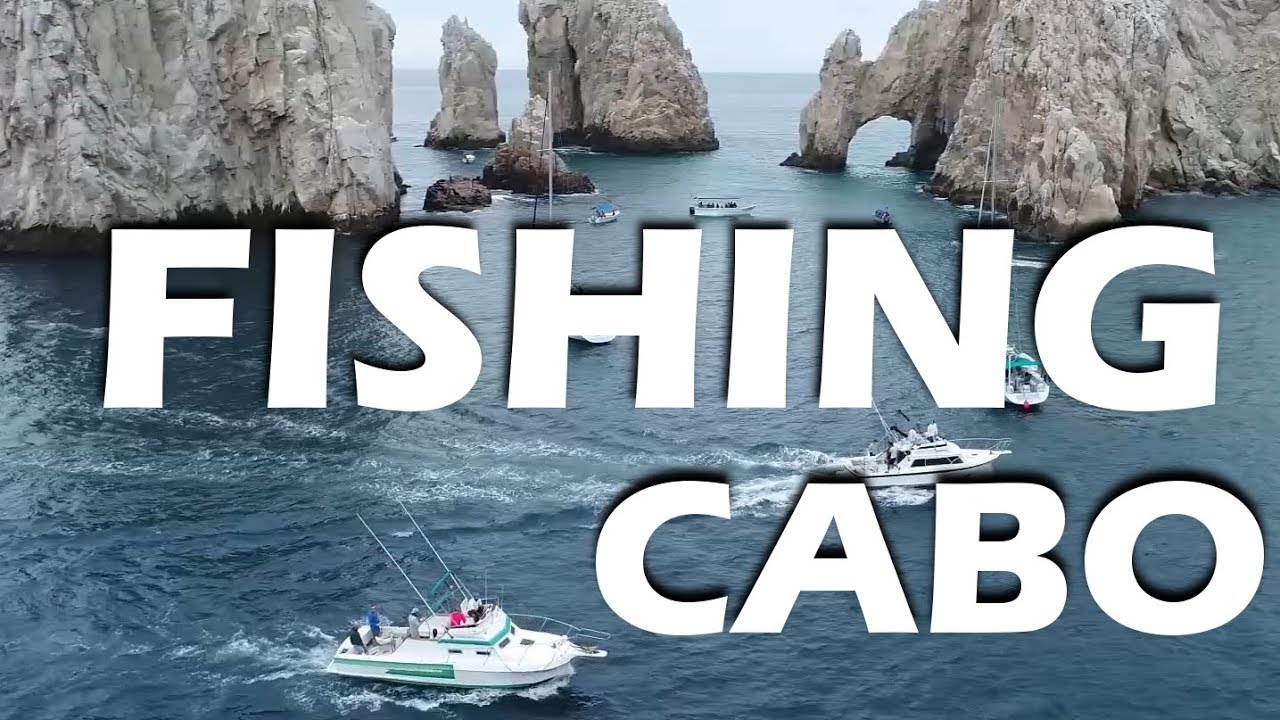 Marlin Fishing in Cabo and Whales! – S2:E13