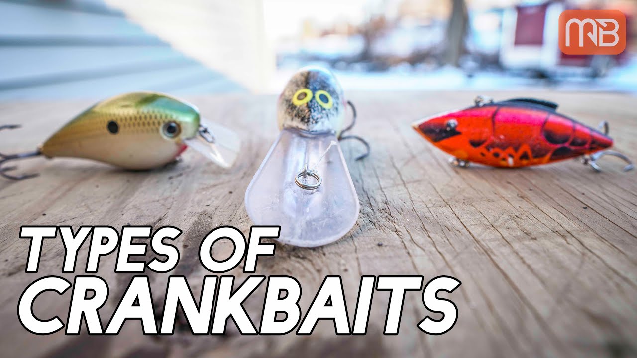 3 Types of Crankbaits for Bass Fishing 