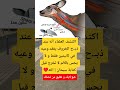 اكتشف العلماء أنه عند ذبحالخروف يفقد وعيه في ثانيتين  اكسبلور القزابري معلومات ترند لايك