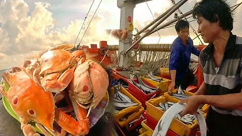 2 mành lưới điều đánh vô cá nhồng | Đánh cá 2024 - Tập 39 | Sóng biển Hứa Đông