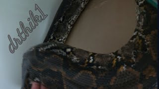 A Bit Of Knowledge About Reticulated Pythons