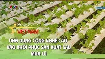 Ứng dụng công nghệ cao vào khôi phục sản xuất sau mưa lũ | VTV Times
