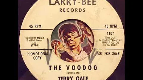 Terry Gale - The VooDoo