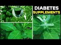 Top 3 Leaves For Diabetes Cure Naturally | Say Goodbye Diabetes Forever | Health and Beauty