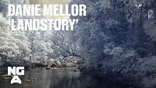 Danie Mellor 'Landstory' interview