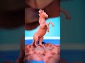 Escultura MICROSCÓPICA en aguja 😳🪡 Un artista reta al pulso humano y al sentido común: MICROESC...