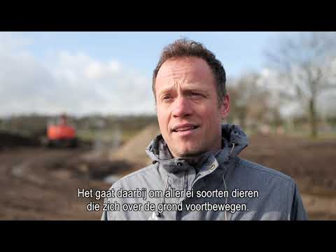 We bouwen een dierentunnel