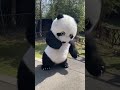 All colored pandas can dance. #KungfuPanda#