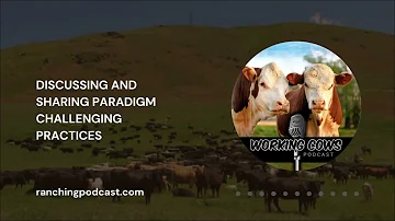 Ep. 041 – Dave Pratt – Core Principles | Working Cows