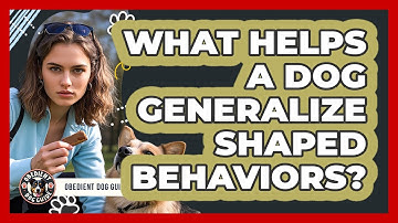 What Helps A Dog Generalize Shaped Behaviors? - Obedient Dog Guide