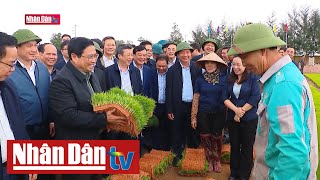Thủ tướng Phạm Minh Chính thăm các vùng sản xuất nông nghiệp tại Hải Dương