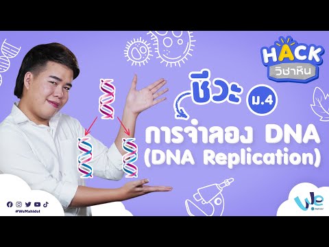 ชีวะ: การจำลอง DNA (ม.4) | HACK วิชาหิน พิชิต PAT2 [by We Mahidol]