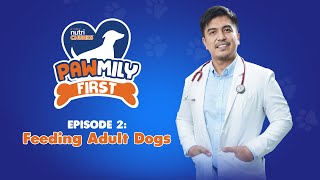 Pawmily First With Dr. Ferdinand Recio Episode 2 Feeding Adult Dogs