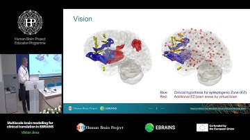 Viktor Jirsa - Multiscale brain modelling for clinical translation in EBRAINS